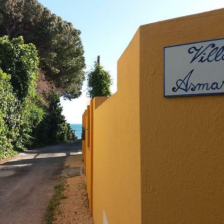Villa Asmara Su Forti Eksteriør bilde